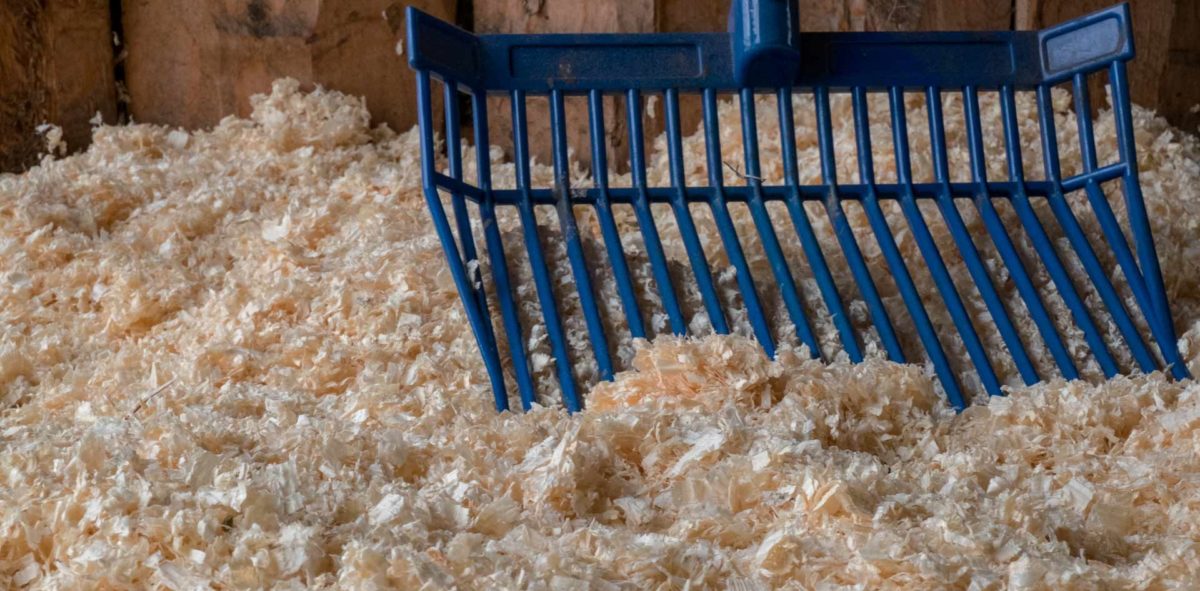 A Guide to Choosing the Right Wood Shavings for Your Needs