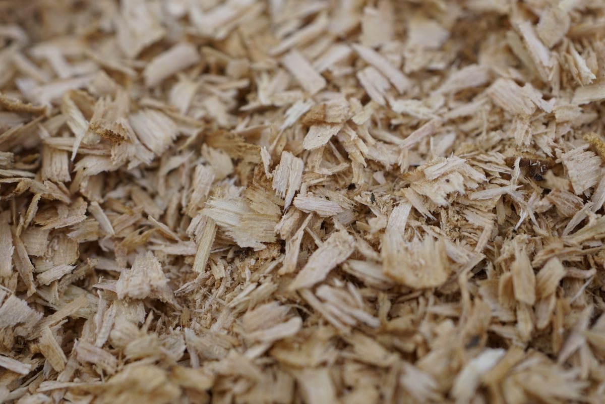 Are Pine Shavings Good For Horse Bedding?