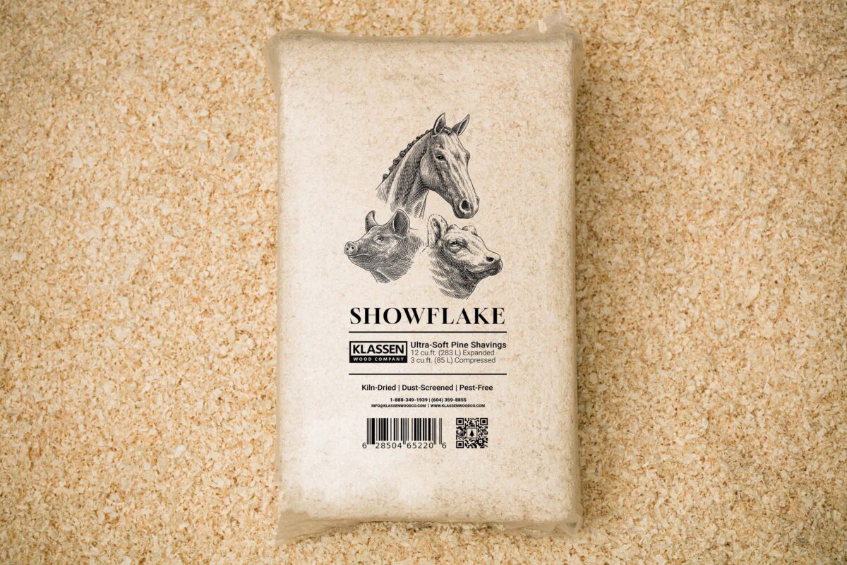 Premium Pine Shavings for Sales - Sawdust Horse Bedding | Klassen Wood Co.