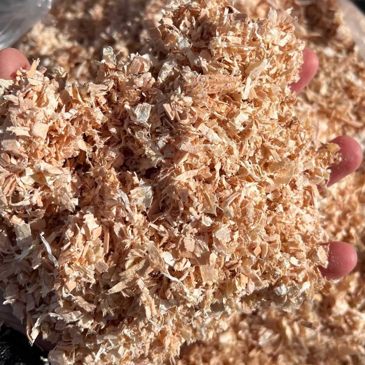 A Guide to Choosing the Right Wood Shavings for Your Needs